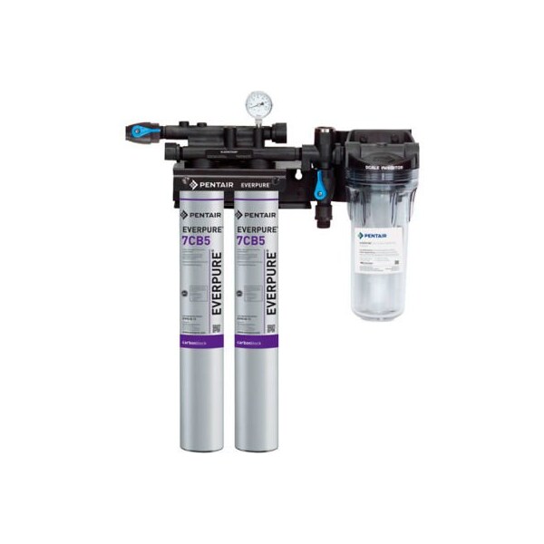 Allpoints 761464 Kleensteam Ii Twin System For Everpure Filter
